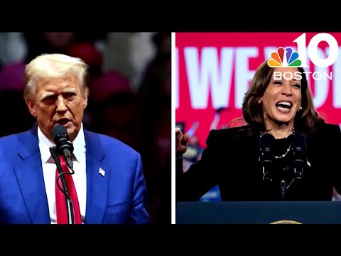 ผลสลากกินแบ่งรัฐบาล วันที่ 1 พย. 2567