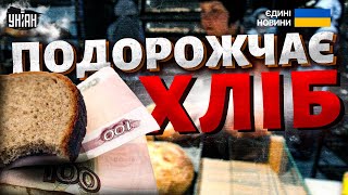 Українці, затягуйте пояси! Хліб ПОДОРОЖЧАЄ вже в жовтні: ціни рвонули, покупці в шoці