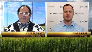Cattle Consolidate and Lean Hogs Fish for a Low