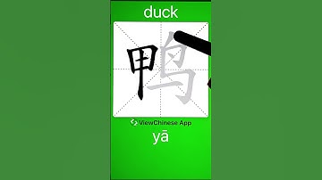 How to Write 鸭(duck) in Chinese? App Name :《ViewChinese》&《My HSK》