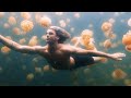 Sam Feldt & The Him - Use Your Love (feat. GoldFord) [Starring Jay Alvarrez]