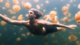 Video voorbeeld van "Sam Feldt & The Him - Use Your Love (feat. GoldFord) [Starring Jay Alvarrez]"