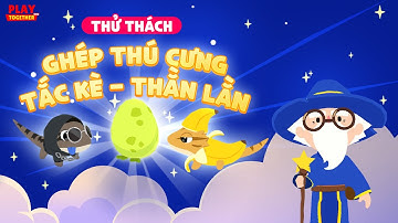 PLAY TOGETHER VNG | THỬ THÁCH GHÉP THÚ CƯNG THẰN LẰN, TẮC KÈ PLAY TOGETHER (P1)