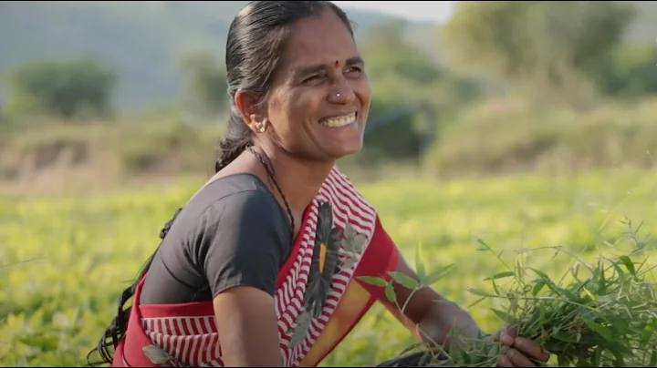 Agroecology and Farmer Field Schools – a solution for Zero Hunger and Ecosystems Restoration