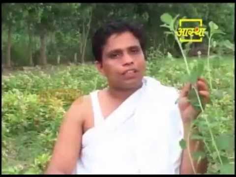 Ayurvedic Use Bauchi
