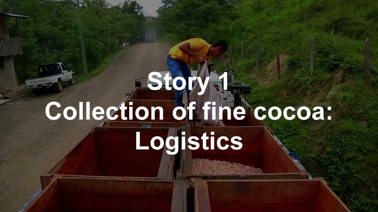 Story 1 Collection of fine cocoa: Logistics  | Ingemann Fine Cocoa