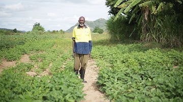 How nuclear science helps farmers in Zimbabwe