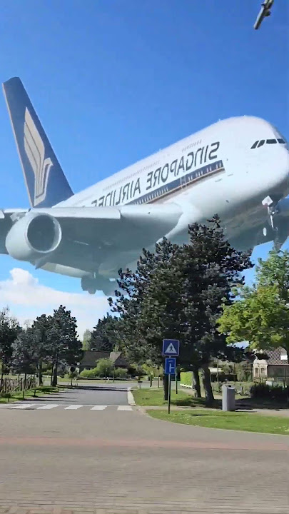 the very very big plane goes over the city  #viral #plane