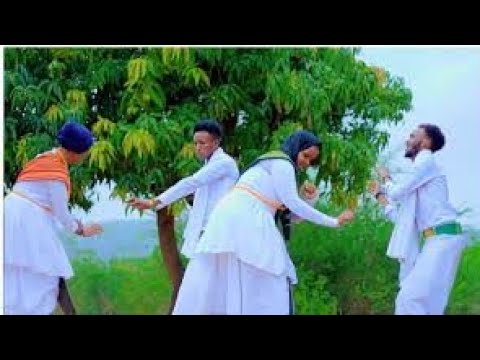 Dhaanto Cusub Short 202e