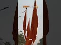 🚩Hanuman janmotsav 🚩 #shorts #viralvideo #hanumanji #hanuman