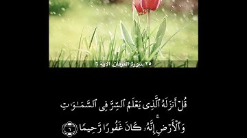 سوره الفرقان      من 1 الى  8           للقارئ ماهر المعيقلي