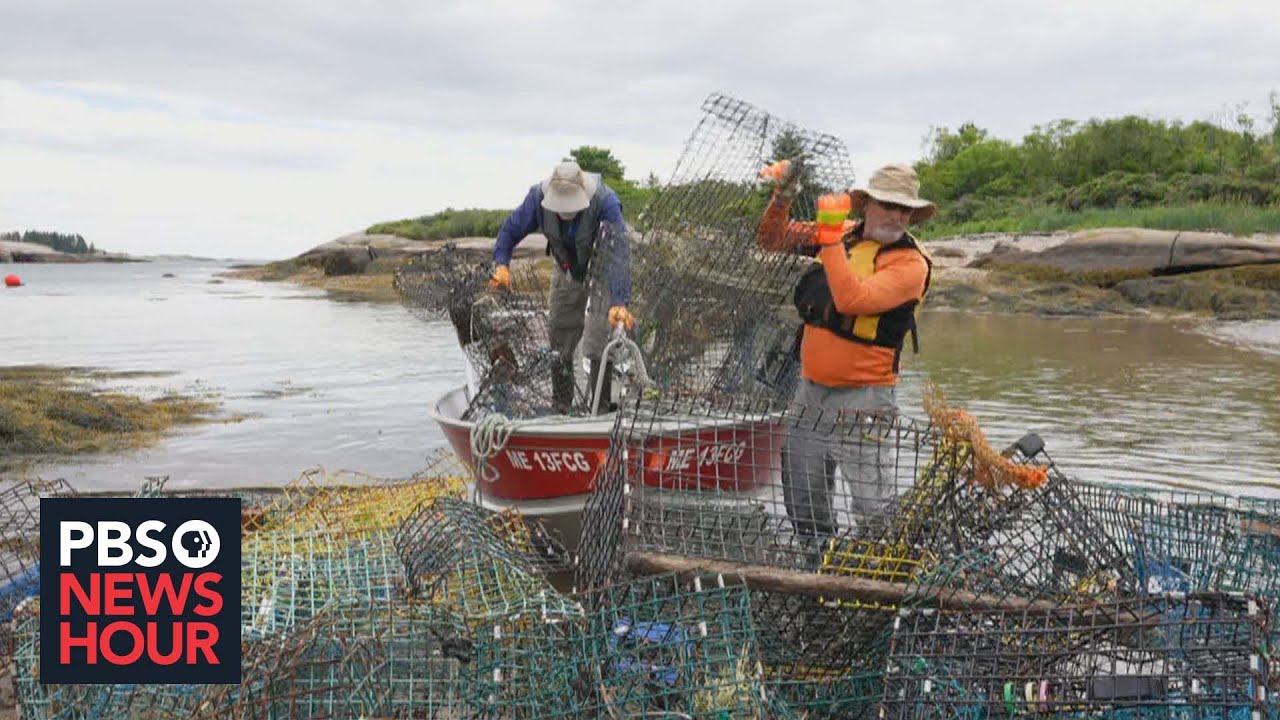 Ghost gear' piles up in the Gulf of Maine amid plastic onslaught on oceans