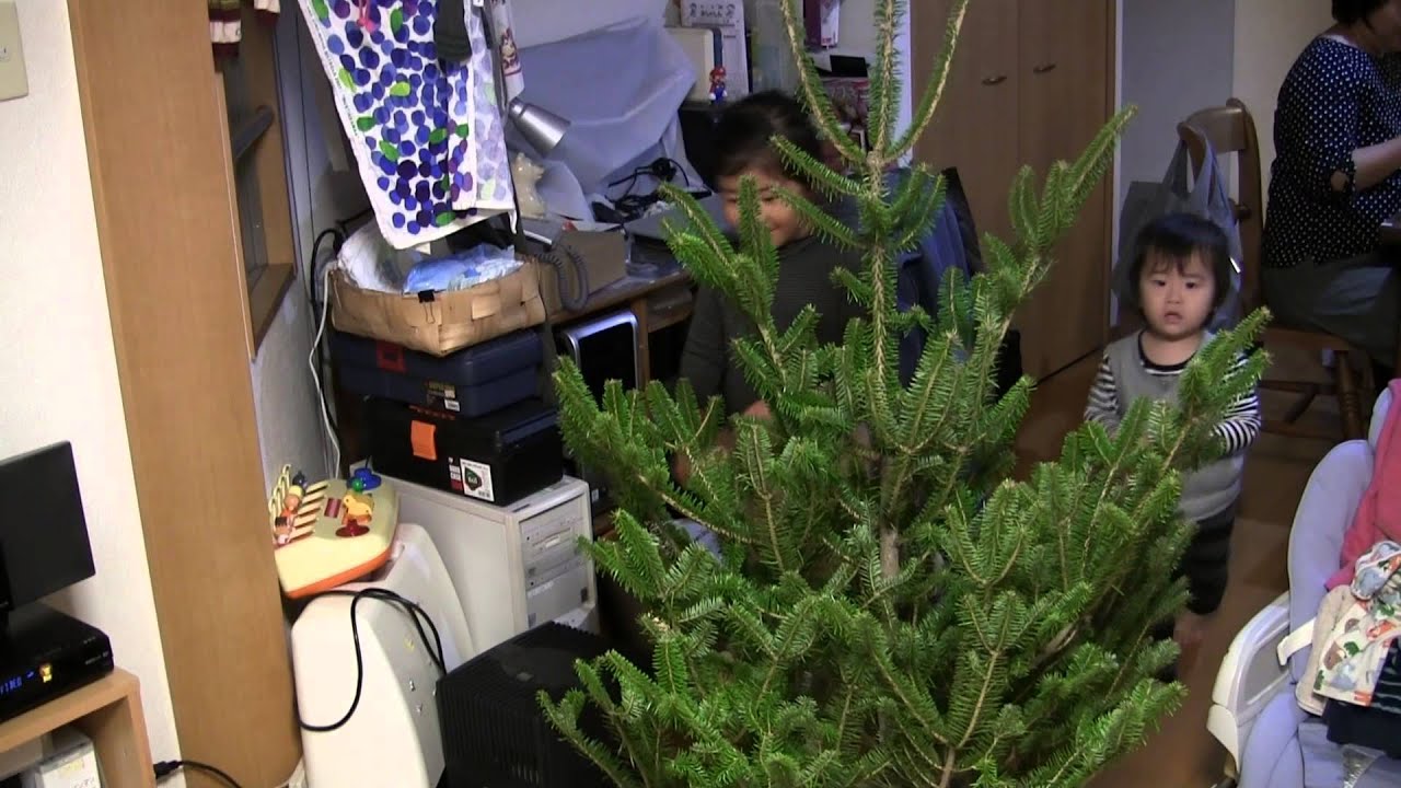 イケアのクリスマスツリー The Christmas Tree Of Ikea Youtube イケアのクリスマスツリー The Christmas Tree Of Ikea Youtube