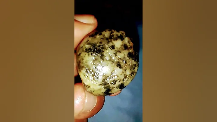 black Ant 🏠 house gemstone