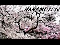 Hanami 2016 - Vivi Giappone