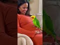 Pregnant lady gets fun with Parrot must watch...Haha #shortvideo #talkingparot