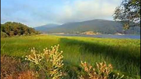 سورة التكوير كاملة للقارئ داود محداب -  جيجل