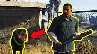 TRAINING CHOP TO BE A GOOD DOG! । GTA 5 । GAMEPLAY#1 screenshot 4