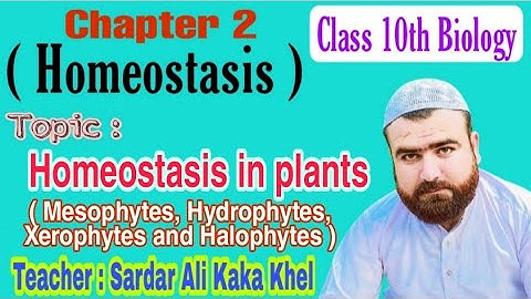 Homeostasis in Plants ( Osmoregulation in plants ) | Class 10 Biology | Armaghan Tution Academy