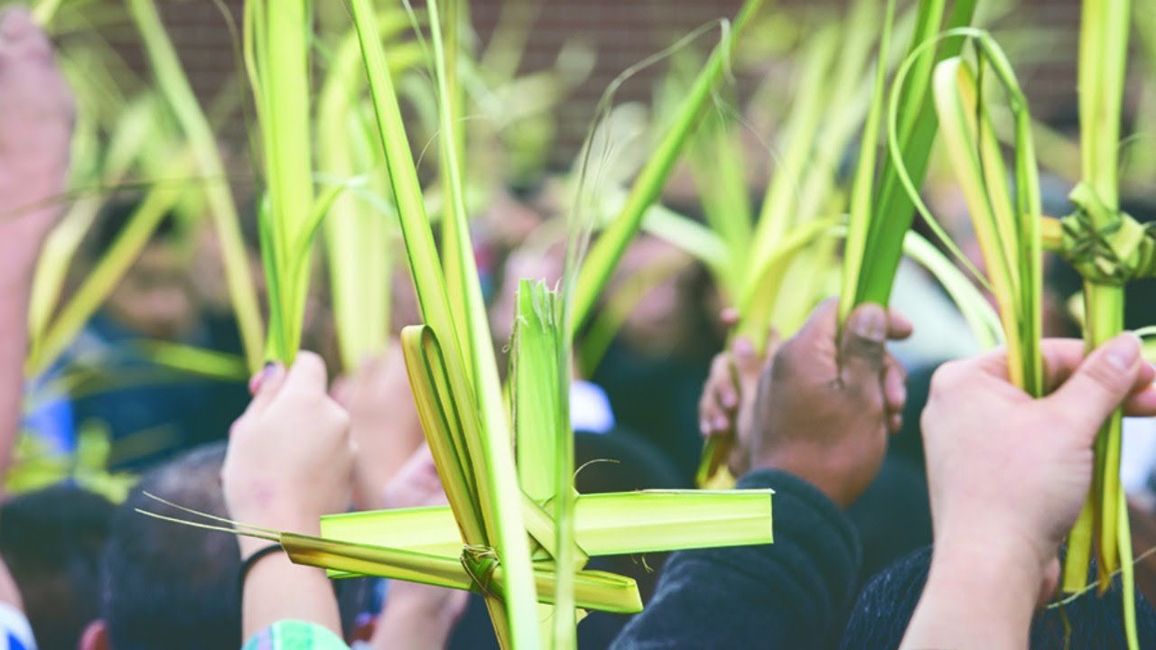 Palm Sunday Mass YouTube