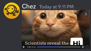 Idiots Laugh At HILARIOUS Discord Memes