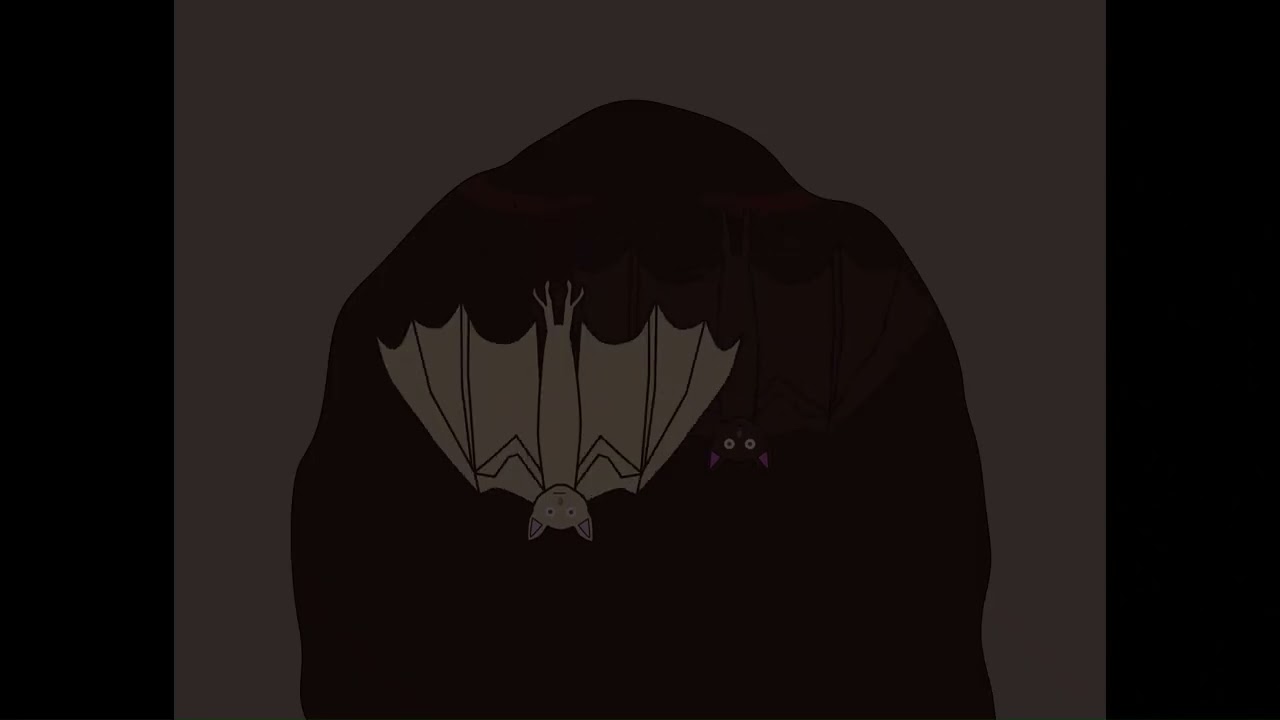 2 bats flying animation 2