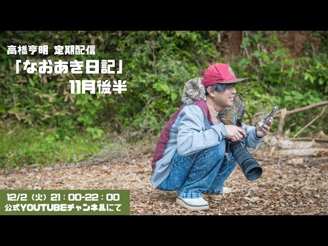 高橋亨明 定期配信ライブ「なおあき日記」11月後半