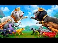 Clash of kings black lion vs white  battle for the animal kingdom  3d animals cartoon 2024