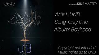 UNB - Only One