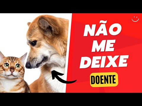 Vídeo: Quais são os perigos de unhas compridas em cães?