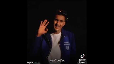 Asthiray me hama dema sinhala song tiktok trailer