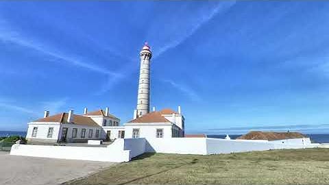 Dog Walk with Insta 360