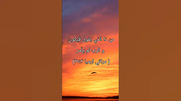 م ن ذ ا ال ذ ي ي ق ول ف ي ك ون و الر ب ل م ي أ م ر Shorts 
