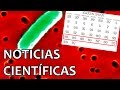 Primer organismo semisintético estable | Noticias 30/1/2017