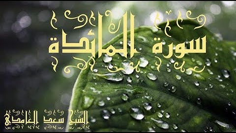 سورة المائدة / الشيخ سعد الغامدي / Souret El-Maida