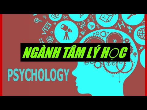 Học ngành tâm lý học | Ngành tâm lý học (Tâm lý học là gì? Tố chất, kỹ năng cần có? Cơ hội việc làm và sự phát triển)