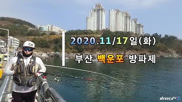 #부산 백운포 생활낚시