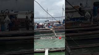 #shortvideo Ang galing ng aso Nila sa bangka . Kayang maglakad sa batik😍 #freeclip #myvideo