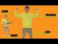 Head, Shoulders, Arms and Feet | Body Parts Song | Dream English Kids