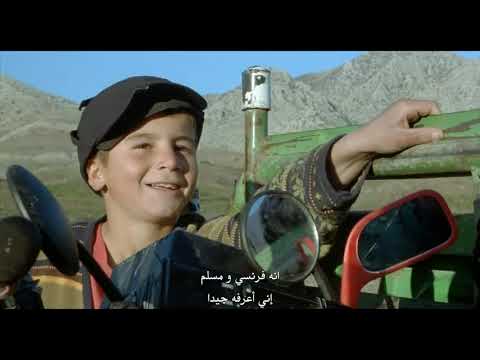 السلاحف تستطيع الطيران