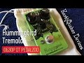 EarthQuaker Devices Hummingbird Tremolo - Обзор от Pedalzoo