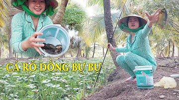 Câu cá rô đồng về kho tiêu, và món canh chua cơm mẻ - Bửa cơm gia đình | Khói Đồng