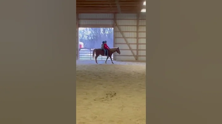 Colleen Equestrian intro