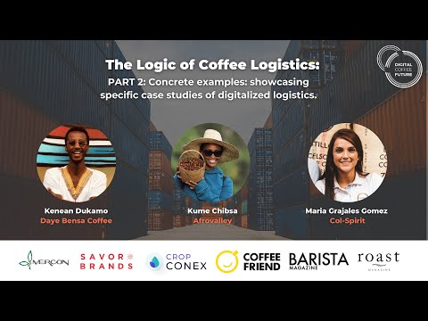 Concrete examples: showcasing specific case studies of digitalized logistics