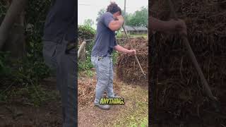 Free Pimpin #shorts #garden #farming