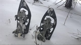 Sneh, Snežnice A Varenie Smrekovo-Šípkového Čaju V Lese Sk