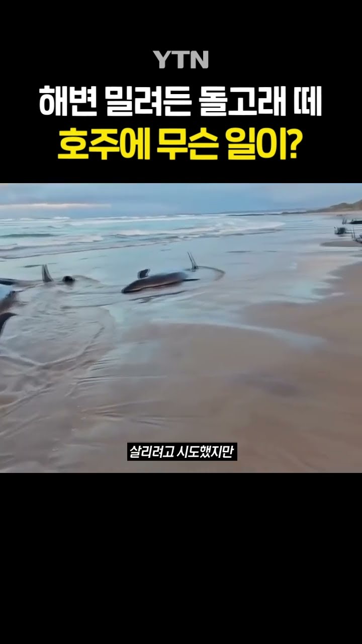 고래 157마리가 육지로... #shorts / YTN