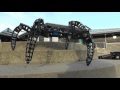 MX-Phoenix hexapod robot outdoor part II