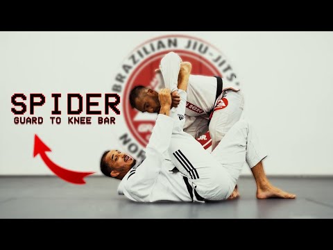 Rômulo Barral Spider Guard Study