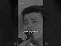 قولوا لحبيبي أنا إني في غرامو منى